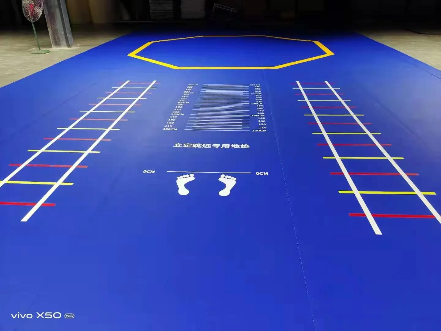 Customized Logo Wall Mats BJJ Foam Roll Out Mats Judo Jiu-jitsu Tatami Mat for Martial Arts