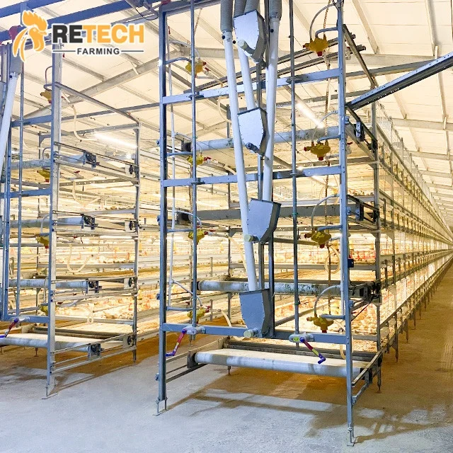 Оптовая Продажа Дубай птицы куриной Дизайн Автоматическое Бройлер батареи клетка
