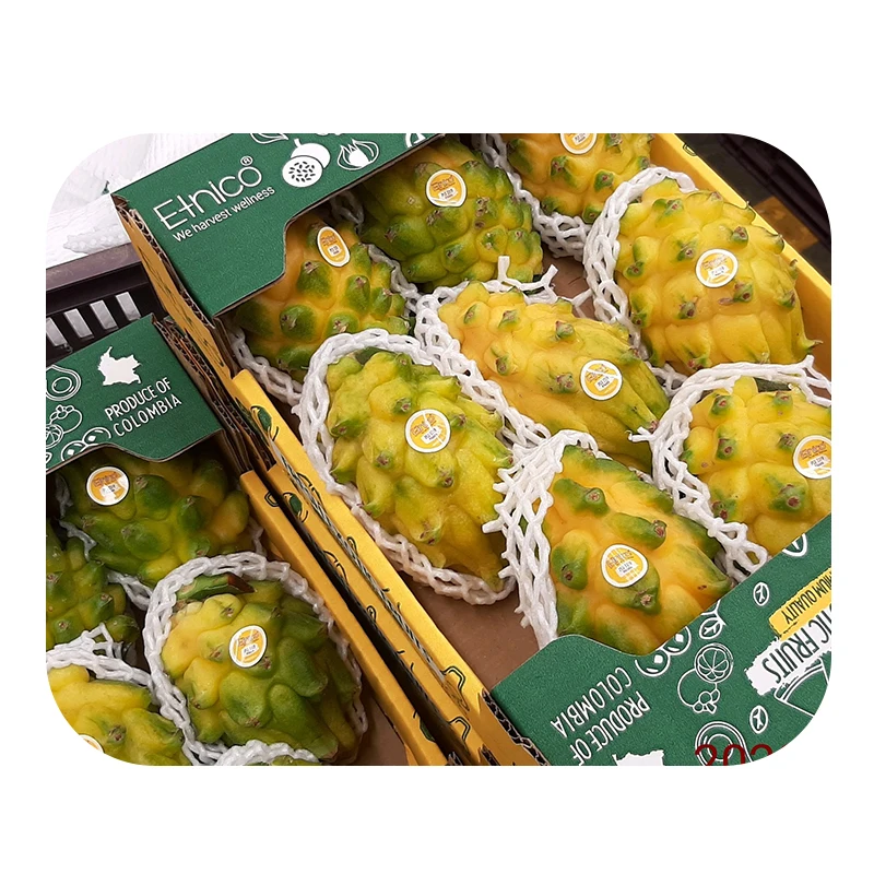 Fresh Fruits Pitahaya Pitaya Supplier Fresh Dragon Fruit White Dragon Fruit  From Colombia