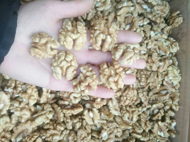 walnuts prices usa from thailand in germany