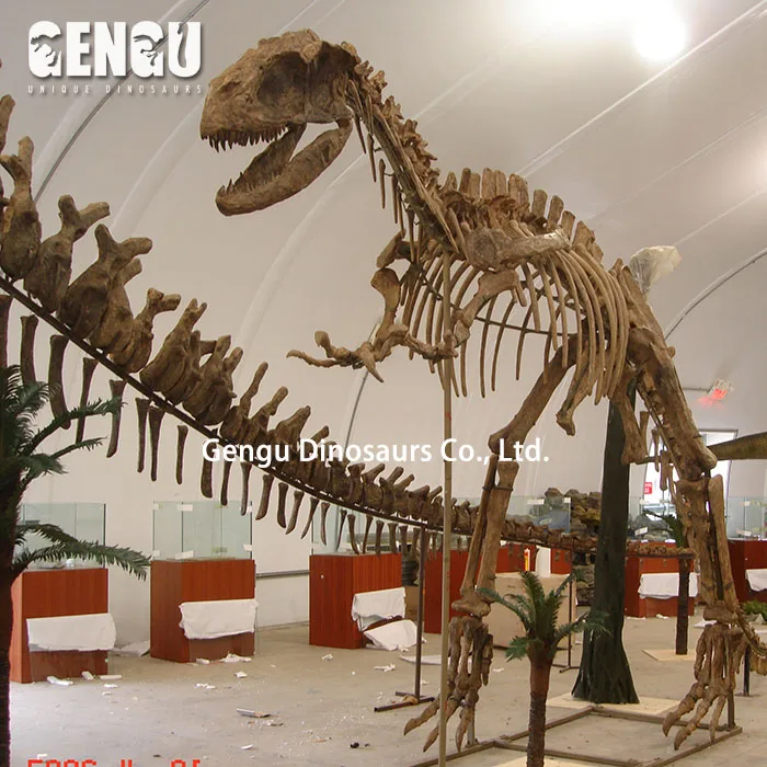 Fiberglass Dinosaur Fossil Statue Hanging Dinosaur Skeleton