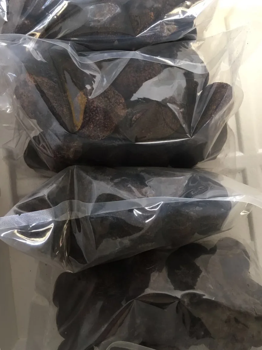 detan Fresh black truffle Yunnan forest wild truffle mushroom