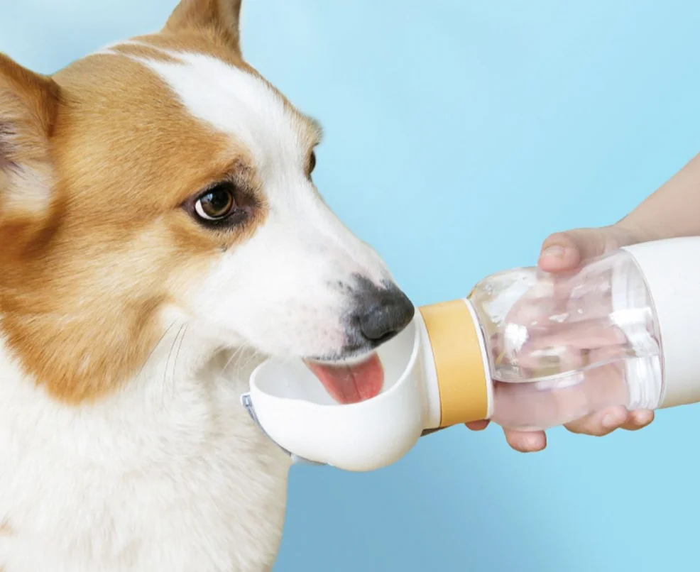 Dog outing water cup dog kettle portable portable cup dog walking water bottle pet drinking water feeding