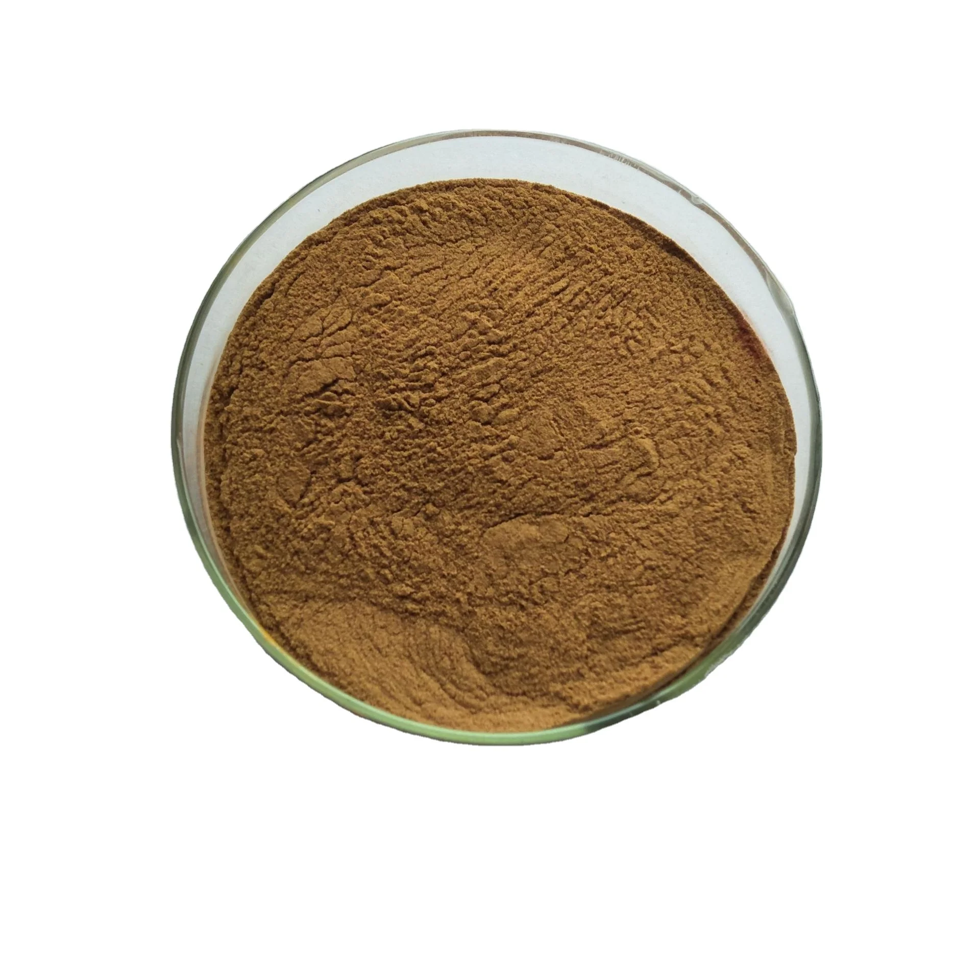 JIAGUOTAI Manufactory  Supply  Organic Tiger Milk Mushroom Powder 99% Purity 99% Tiger Milk Mushroom Extract