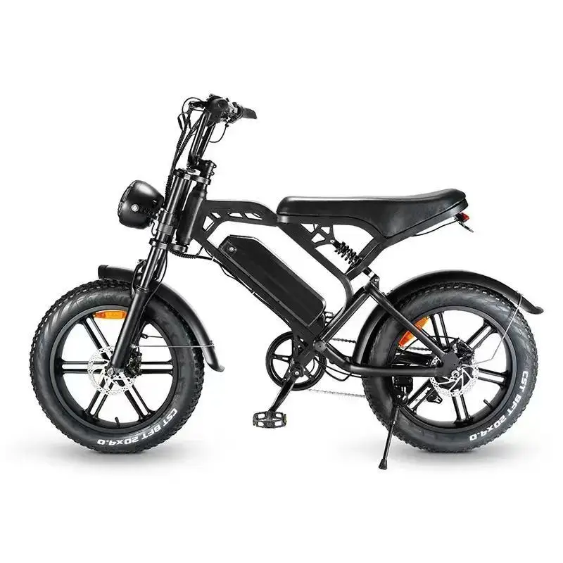 Electric Fat Bike 20-Inch Aluminum Alloy 500W 750W 1000W 48V Lithium Battery 7 Speed Rear Hub Motor Electric Mountain Bike