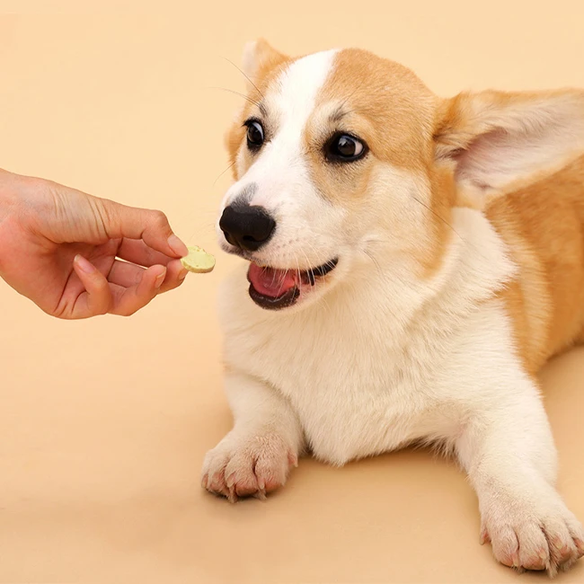 Hot Selling Factory pet food dog treats wholesale Rich in dietary fiber Cheese sweet potato chips dog cat snacks