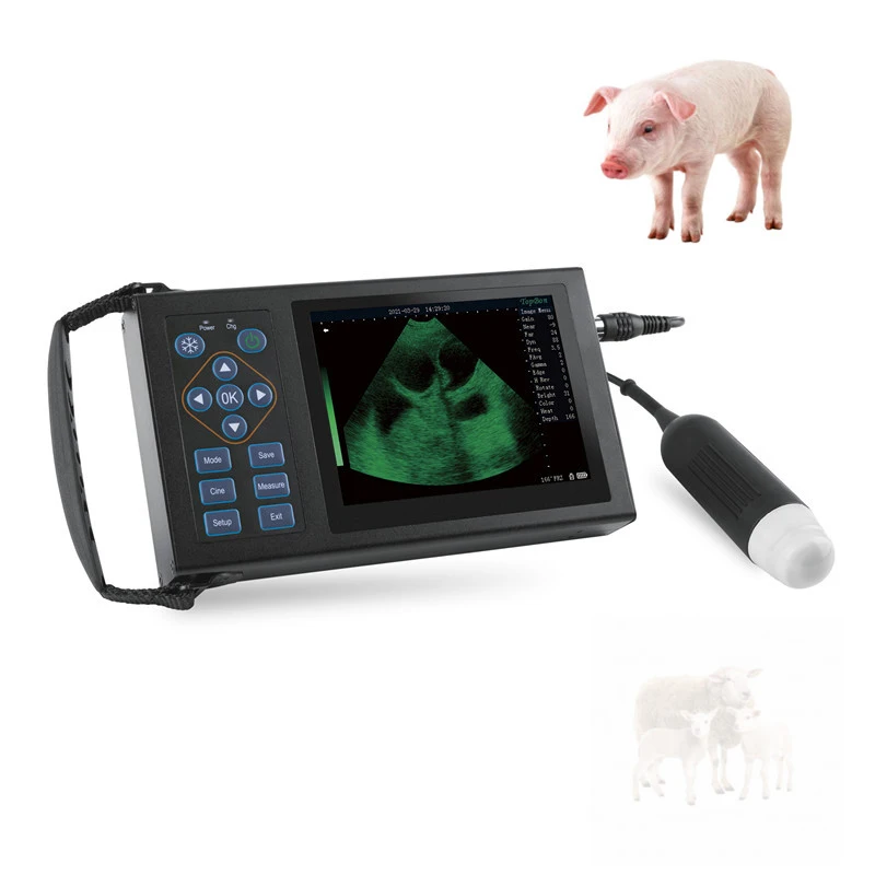 Veterinary Ultrasound Diagnostic Instrument Cheap Portable Handheld Easy Scan Animal Vet Ultrasound Scanner Machine