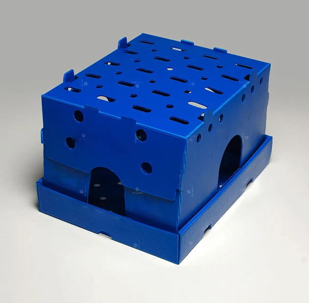 3mm 4mm 5mm Recycled Custom Logo PP corrugated Fruit Box Packing Vietnam Fresh Asparagus packing boxes