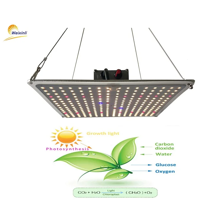 SF1000 lm301h lm301b Dimmable Led Grow Lights Full Spectrum with UV IR 120W Grow LED Light
