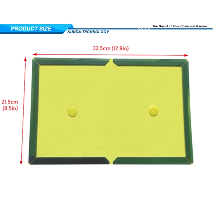 Factory Strong Stickiness Custom Sticky Adhesive Rat Mouse Glue Board Trap