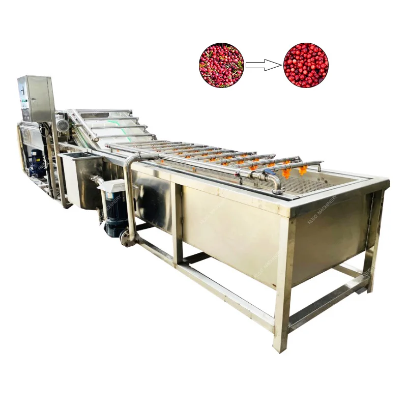 Hot Sale Alkaline Water Pomegranate Dragon Fruit Citrus Spinach Leafy Vegetable Washing Machine