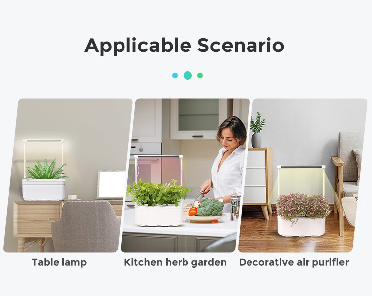 RY desktop hydroponics plant bonsai flower pot indoor garden with grow light hydroponic flower pot