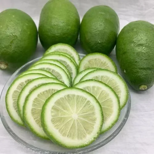 Juicy Fresh Lemons New Crop Lemons Fresh Tropical Fruits Lemon Lime Citrus