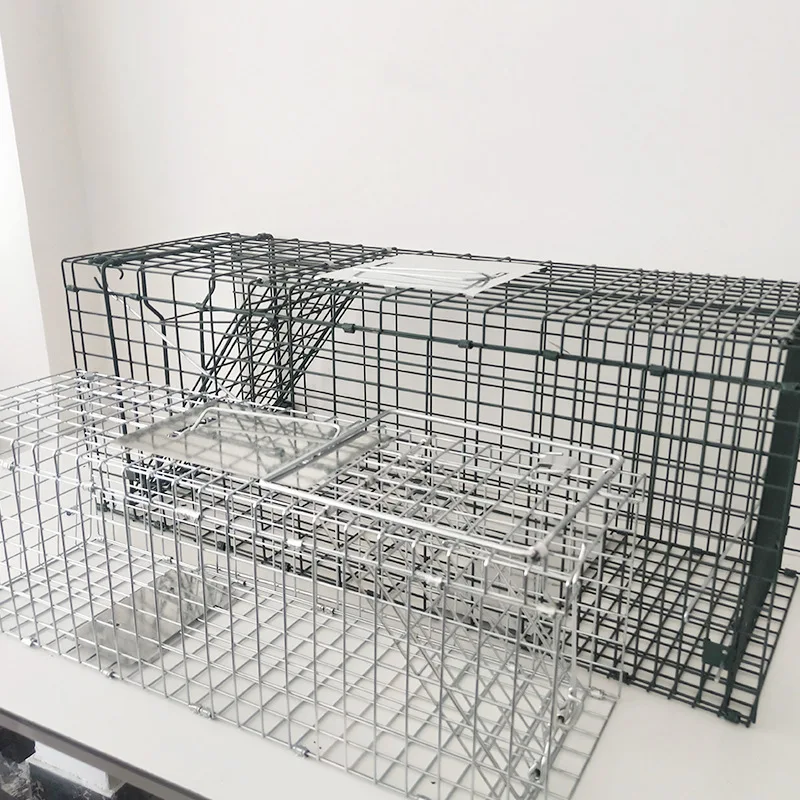 63 inch large two-door humanitarian aid traps wild cats/wild dogs/foxes/skunks/weasels/rabbits