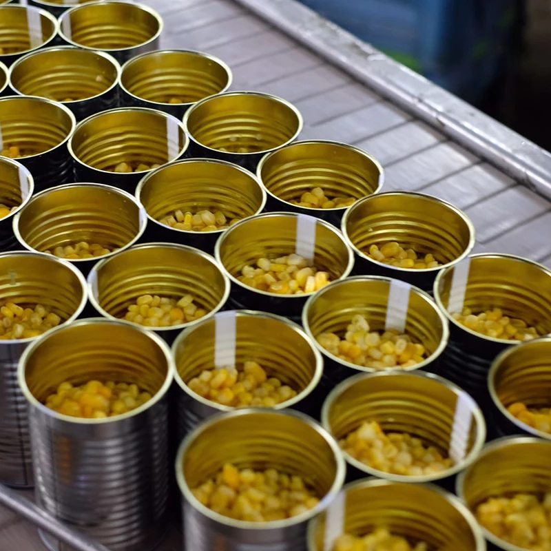 March Expo 2024 New Season Chinese Natrual Food Vacuum 425g OEM/ODM Available High Quality Canned Wholesale Kernel  Sweet Corn