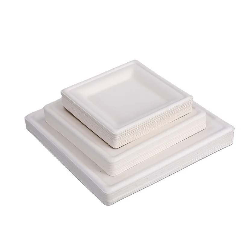 Manufacture Wholesale Bio-degradable Compostable Cake Rectangle and Rectangle Compartment Paper Plates