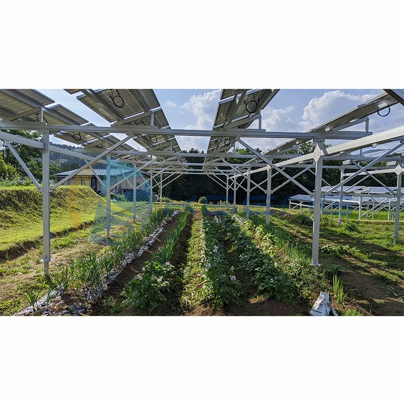 Solar Agriculture PV Mounting Bracket Photovoltaic Greenhouse And Agricultural Mounting System Solar Farm Solar Panel Farm