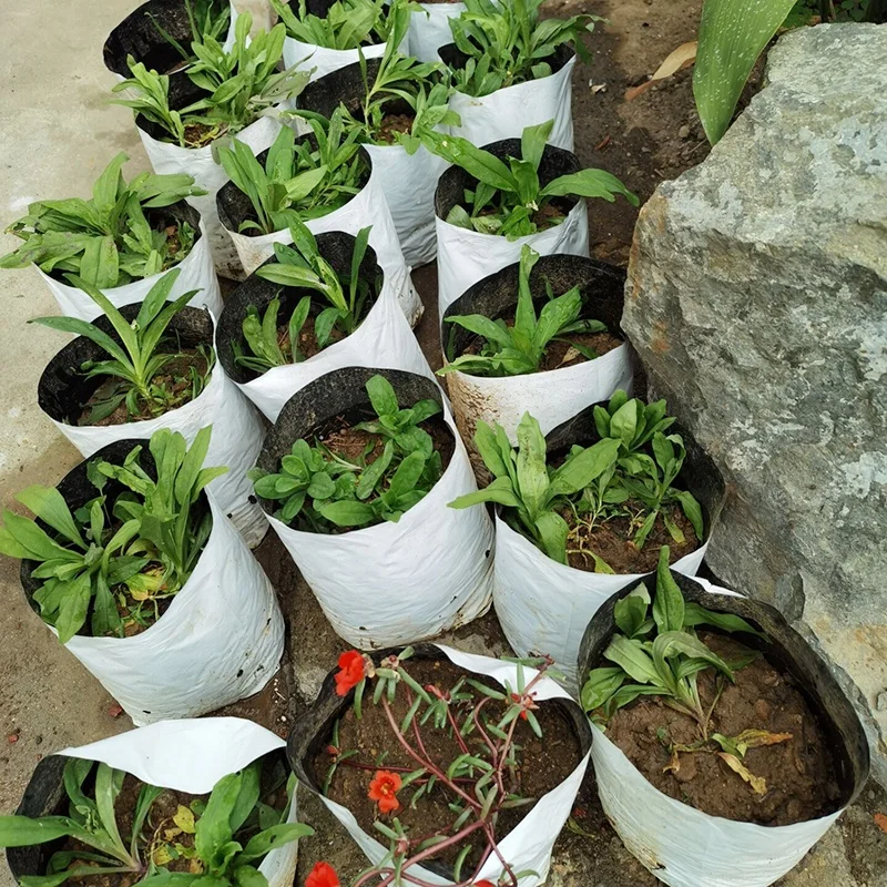 3Gal Factory customized for tree, flower, vegetable growing Nursery Bags Product for plastic grow bags