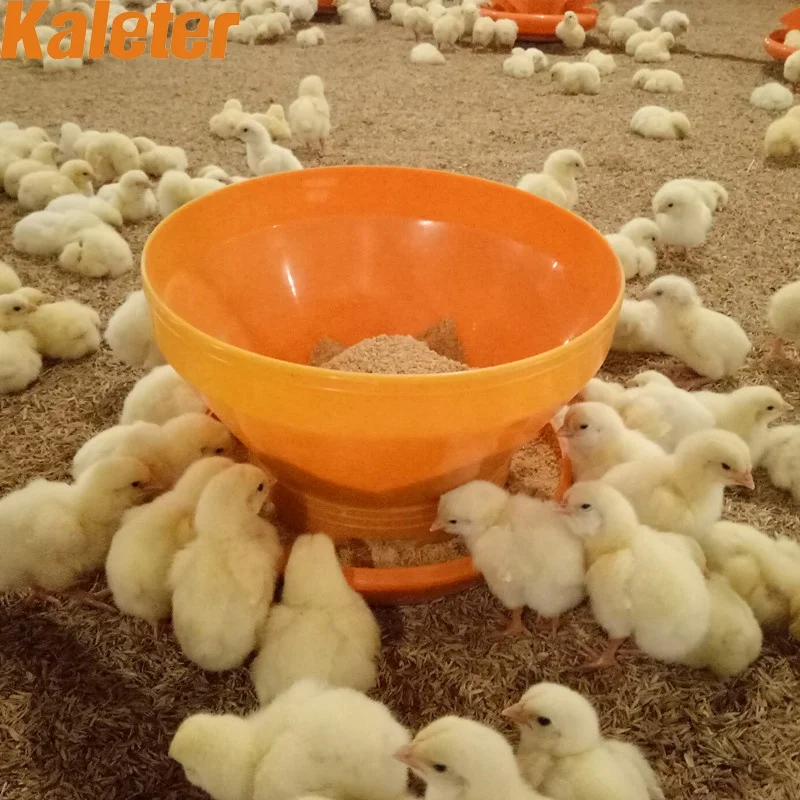 Bulk Chick Feeders Baby Chicken Turbo Feeder and Waterer Bucket Feed Tray Plastic Poultry Farming Day old Feeding Bowl