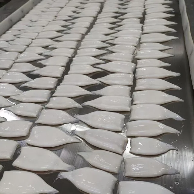 Frozen seafood Squid Tubes  squid tube