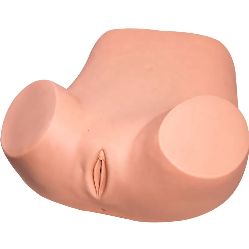 GD/F30S General Doctor Education Tool Gynecology Examination simulator for Training