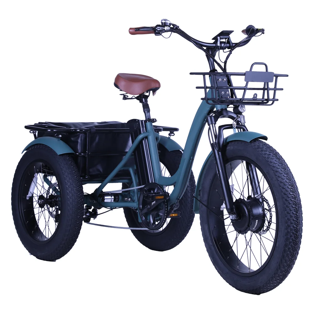 2022 48V 500w 750w fat tire Cargo 3 wheels e bike with 24 inch wheel