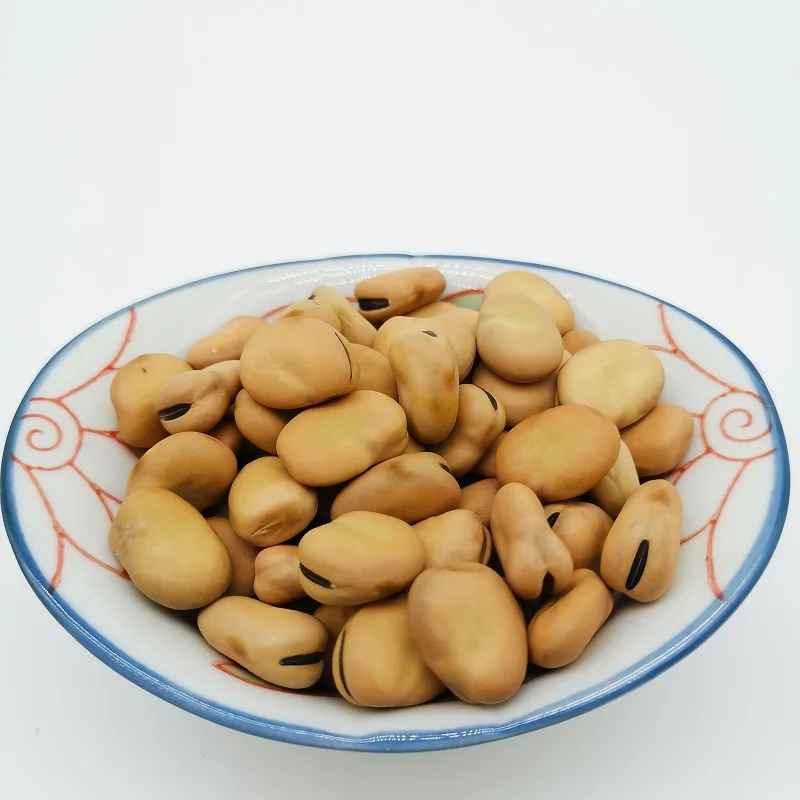 factory directly sell Liangtian broad BEAN  high-protein board  bean high premium quality with competitive price