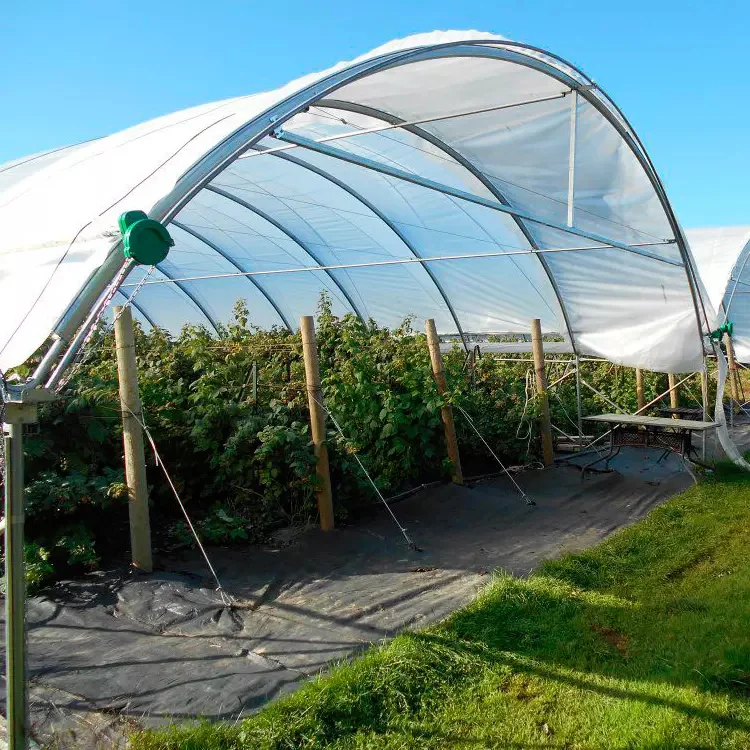 Plastic film Outdoor Growing Tent Greenhouses Garden Yard for Outdoor Berry Planting Rain Shelter Greenhouse
