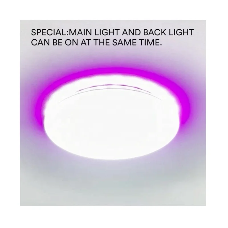 Color Gift Box 12 Inch Ultrathin flush mounted Smart Ceiling Light 24W Dimmable Round Led RBG Lamp