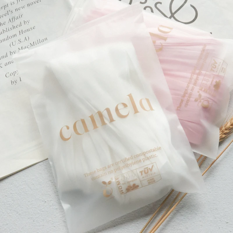 customized personality logo small mini transparent clear zipper plastic frosted zip lock packaging bag for cosmetics