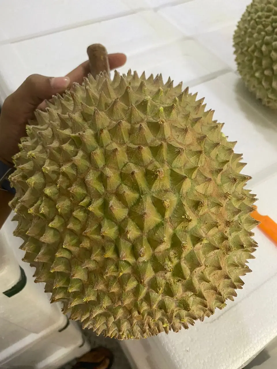 Пик совершенства дуриана свежий Премиум Musang King Durian D197