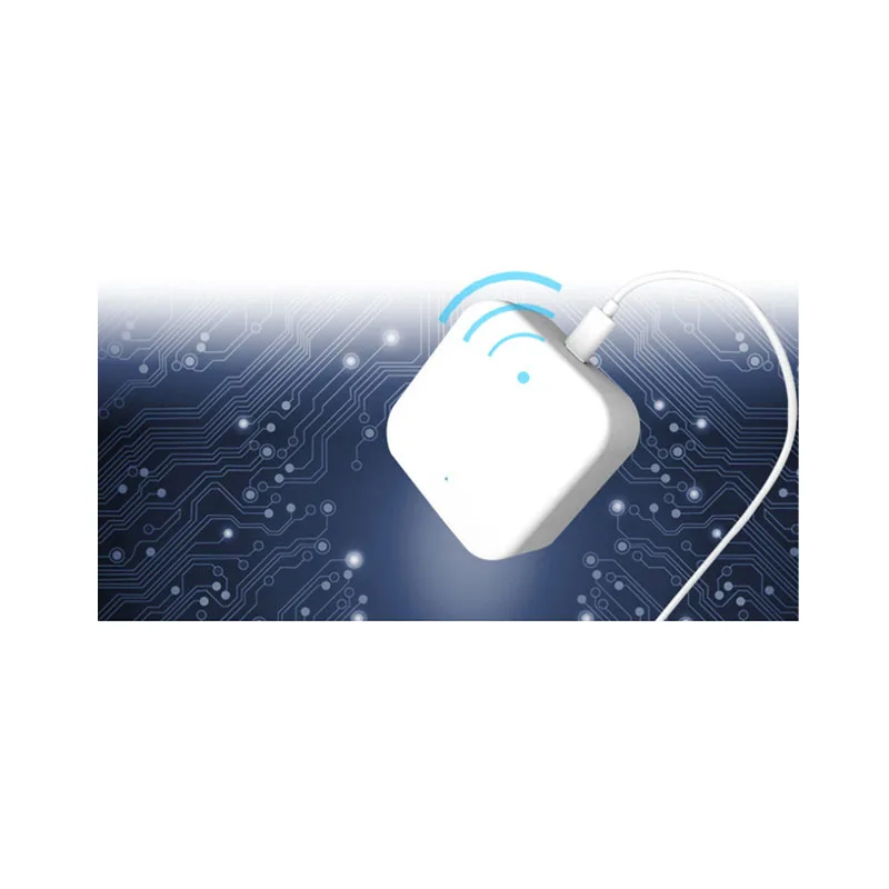 Hot Sale Professional Lower Price Home Assistant Iot M2M Tuya Security Electronic Door Lock Gateway