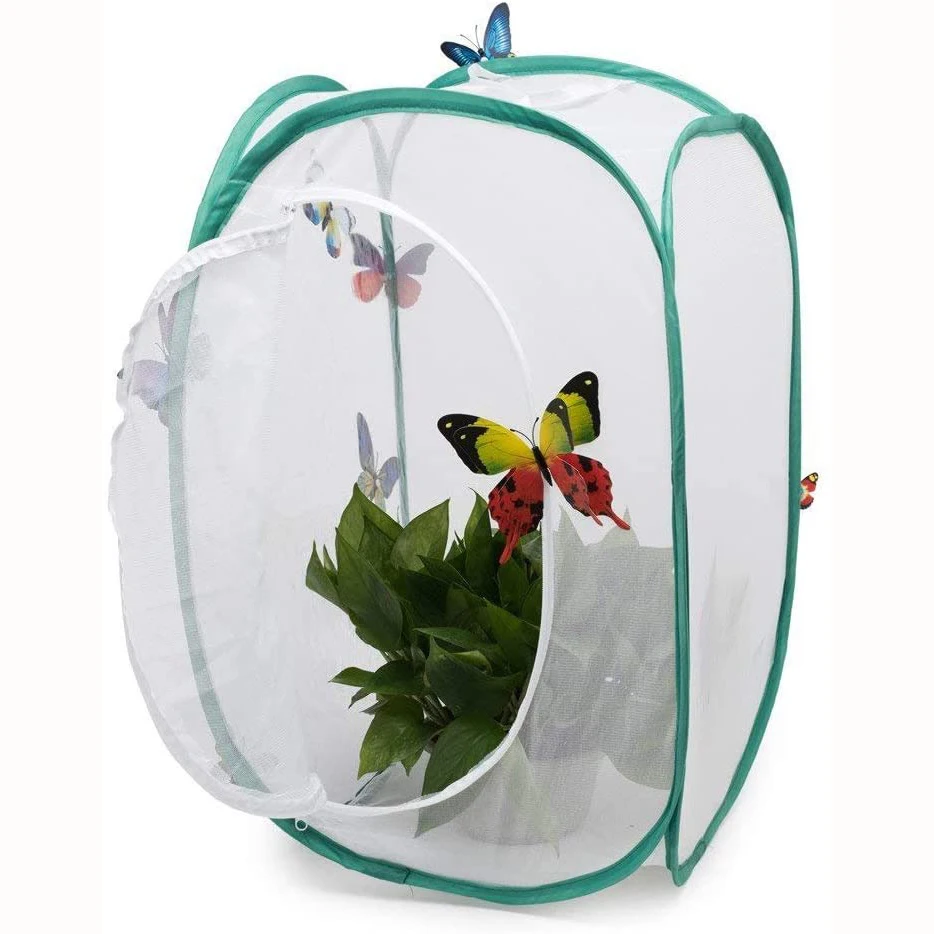 Collapsible Pop-up Insect Cage  And Butterfly Habitat