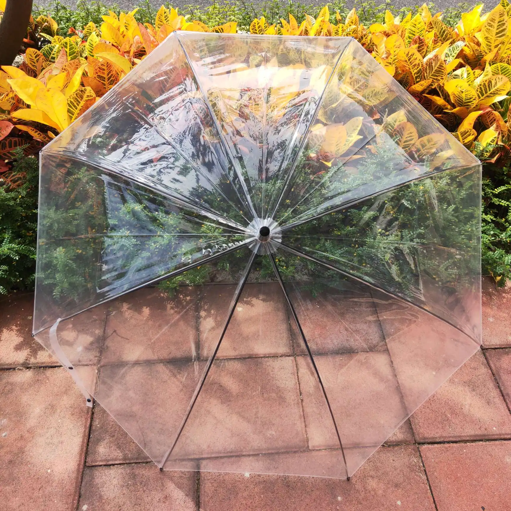 China Umbrella Factory Wholesale cheap POE White Handle Transparent Clear Umbrella umbrellas