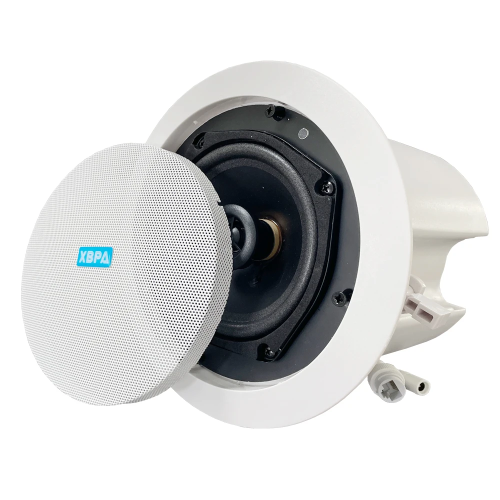 Multi-Room ceiling speaker 6W 10W 15W 20W 30W 40W 50W 60W  to 120W BGM wifi  ceiling speaker 4 to 8 inch