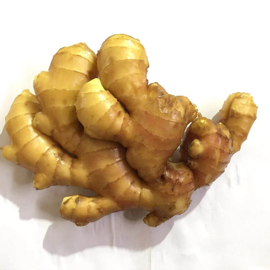 High quality dried fresh ginger market price per ton wholesale Ginger buyers for export in China Ginger