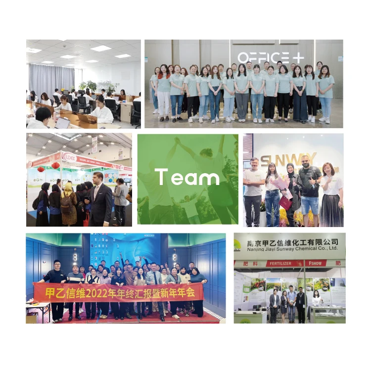 SUNWAY Food Grade glucose/Dextrose Monohydrate/Anhydrous powder 25 kg