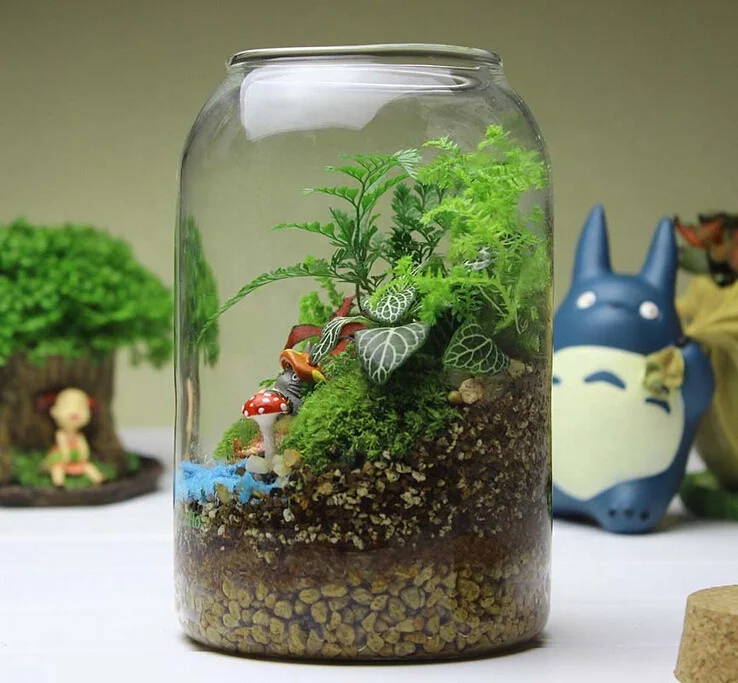 Боросиликатное стекло биодом тропический лес Террариум с пробкой