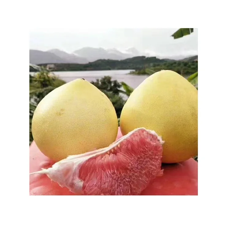 Китайский 2024 новый сезон свежий медовый красный сочный поставщик Pomelo