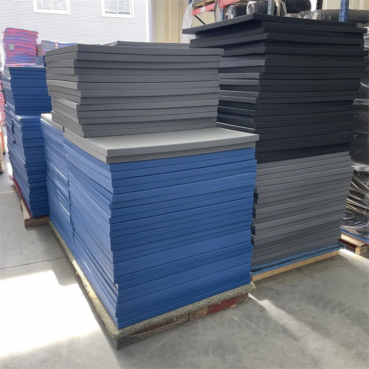 Mma Tatami Mat 2mX1m Martial Arts Mats Judo Mattress Garage Home Workout