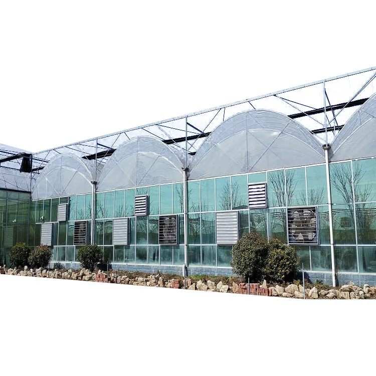 Large Multi-Span Greenhouse Agricultural Plastic Film Greenhouse For Vegetables Hydroponic Growing