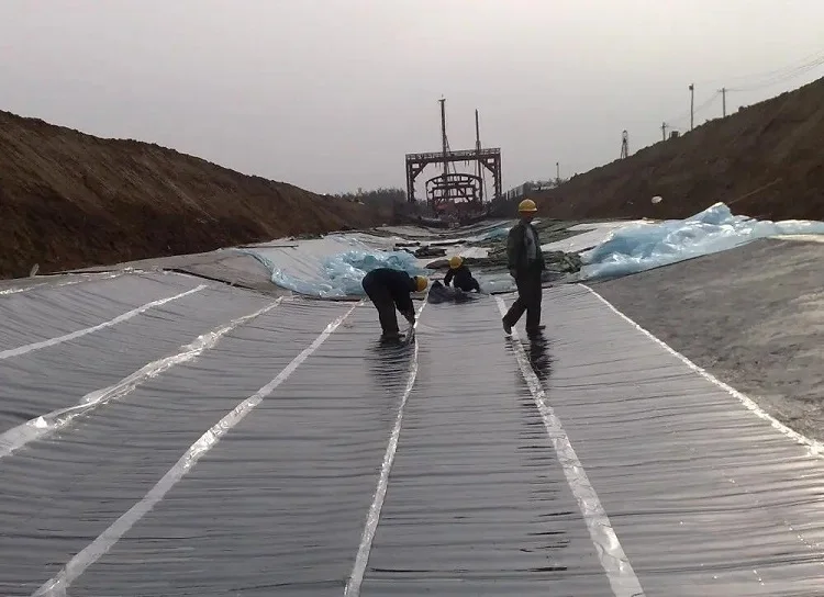 SBS Bitumen Membrane.jpg