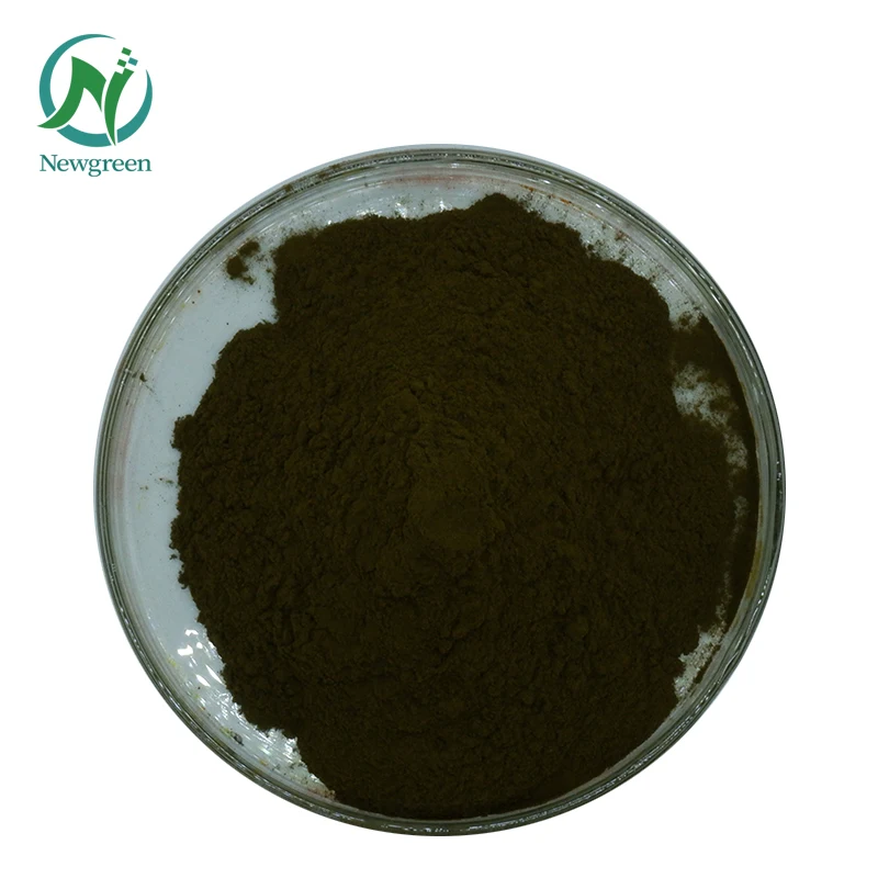 High Protein Organic Chlorella Powder 99% Chlorella