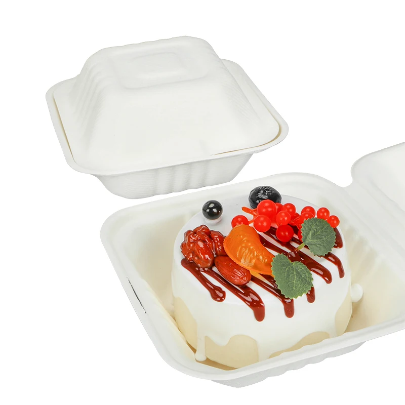 6x6 Compostable Square Hinged Clamshell Take Out Food Containers