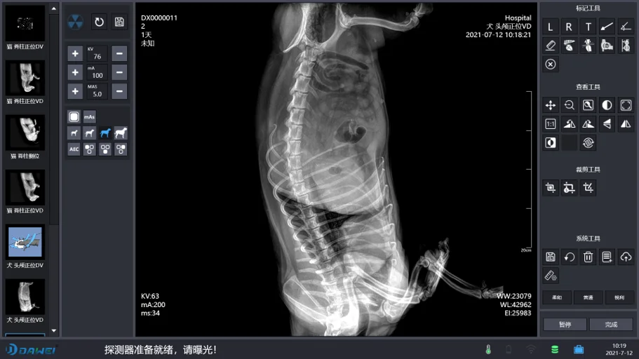 DAWEI Animal Xray Machines Veterinary Digital Dental Xray Machine