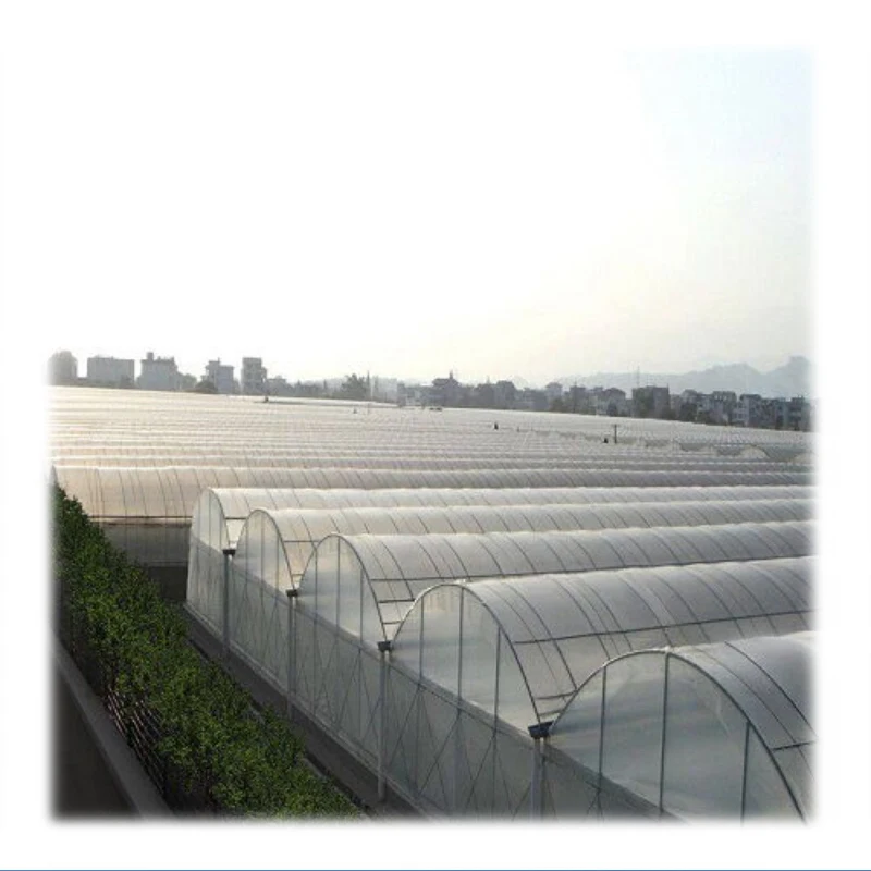 HDPE polyester monofilament yarn wire for agriculture greenhouse