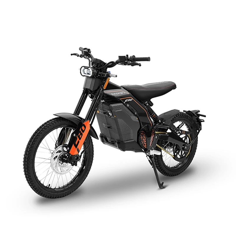 eec certification electric mountain bike 4000w 8000w 72v 30/32/48/60ah Lithium battery electric bike motorcycle