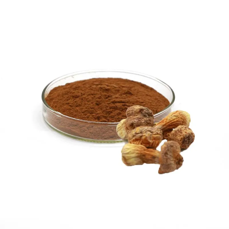 Organic Agaricus blazei(brazil mushroom )powder for edible and medicinal