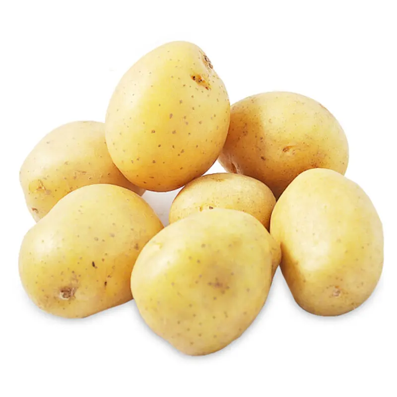 Potato Fresh Sweet Potatoes High Quality Cheap Price Professional Export Wholesalers Fresh Potato