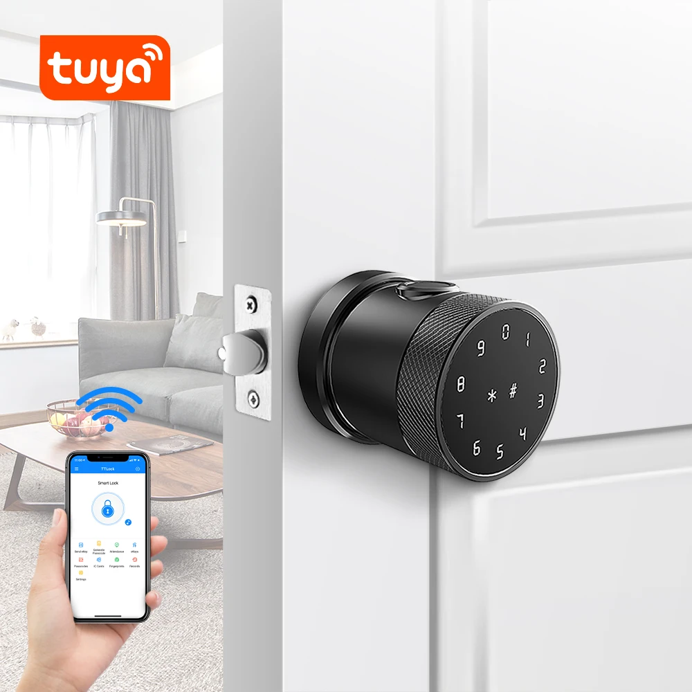 France Custom Wireless Digital Electronic Fingerprint Blue Tooth Door Lock With TTLock Smart Life APP